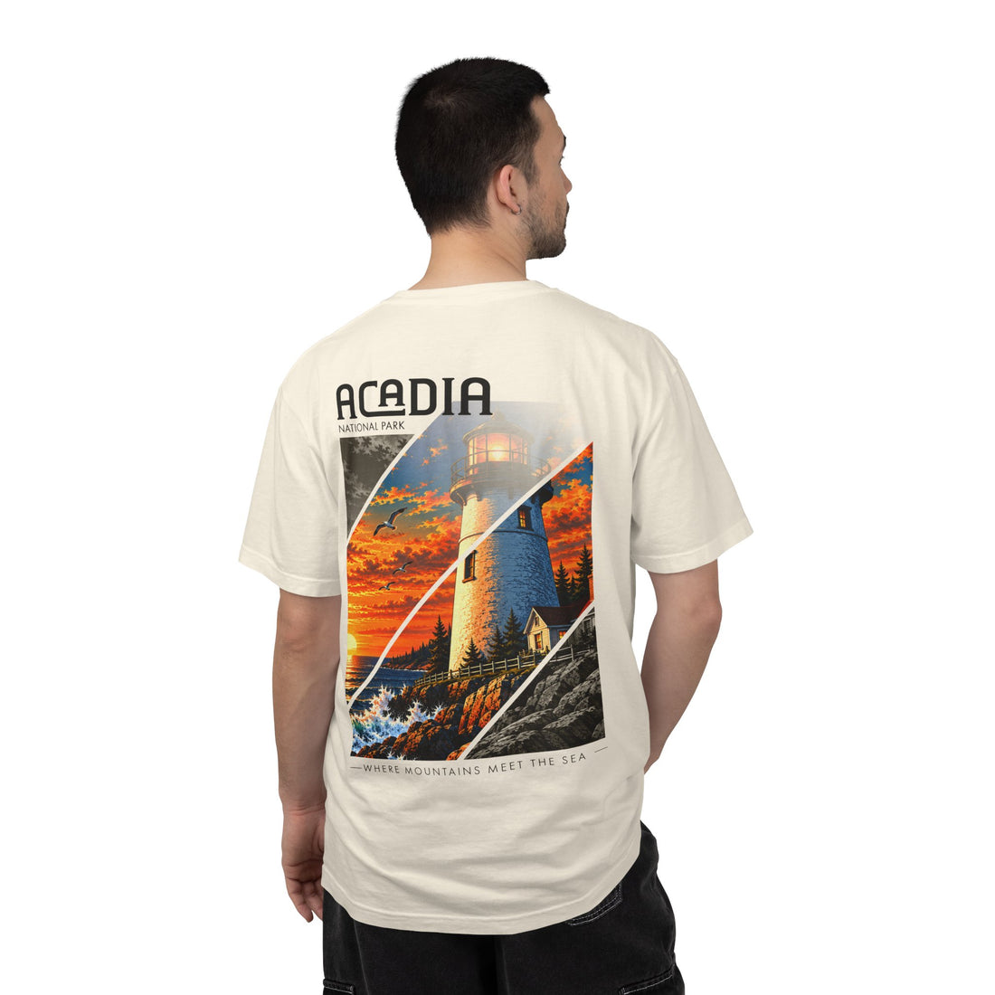 Acadia National Park Lighthouse Graphic T-Shirt