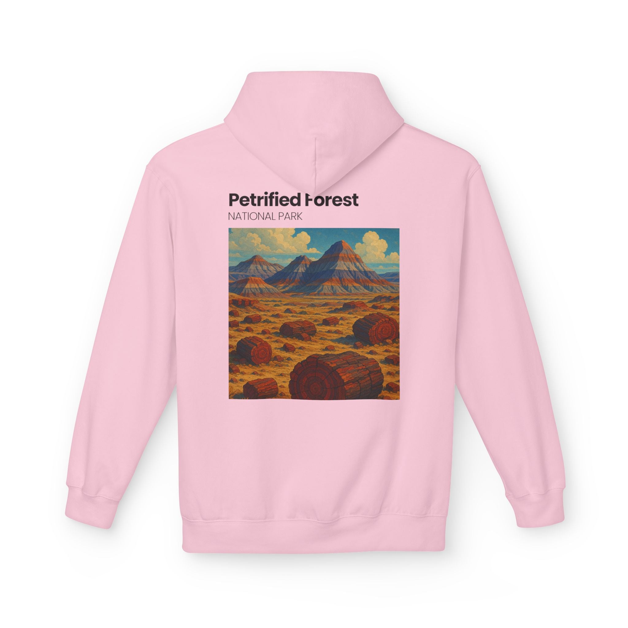 Petrified Forest National Park Hoodie | Vintage Desert Landscape