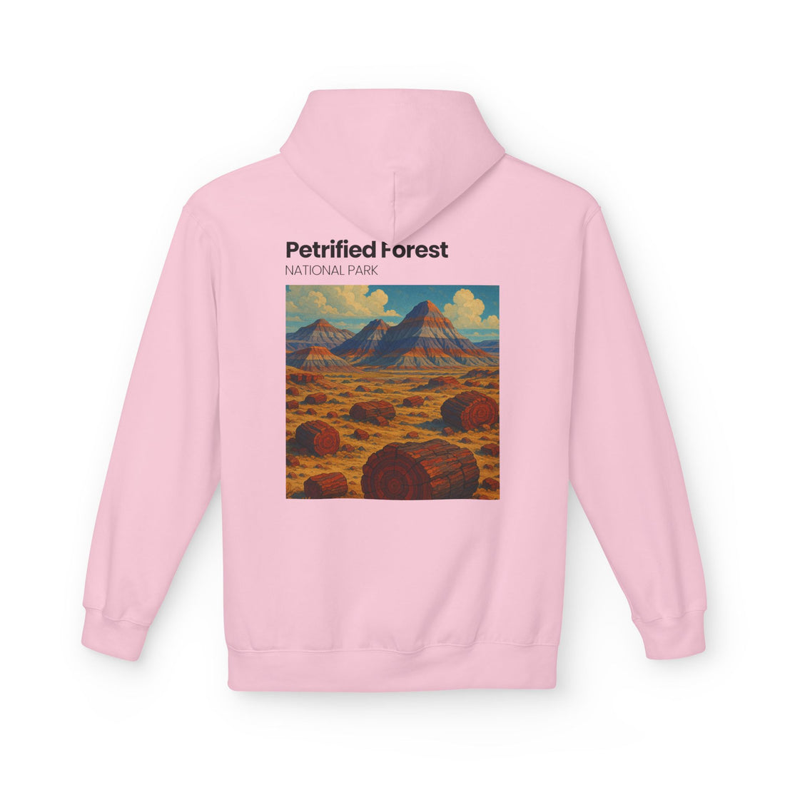 Petrified Forest National Park Hoodie | Vintage Desert Landscape