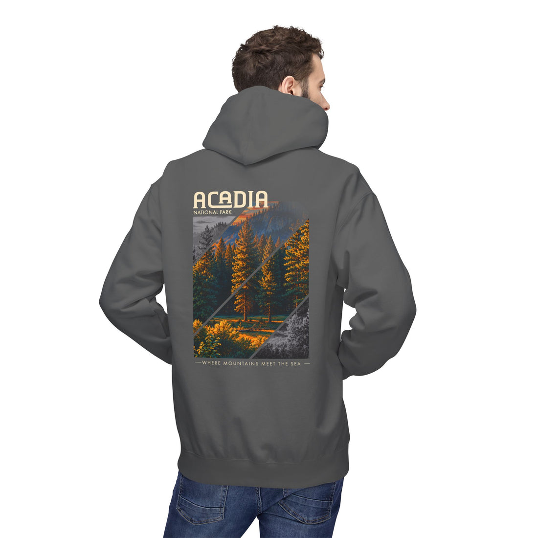 Acadia National Park Pine Trees Graphic hoodie