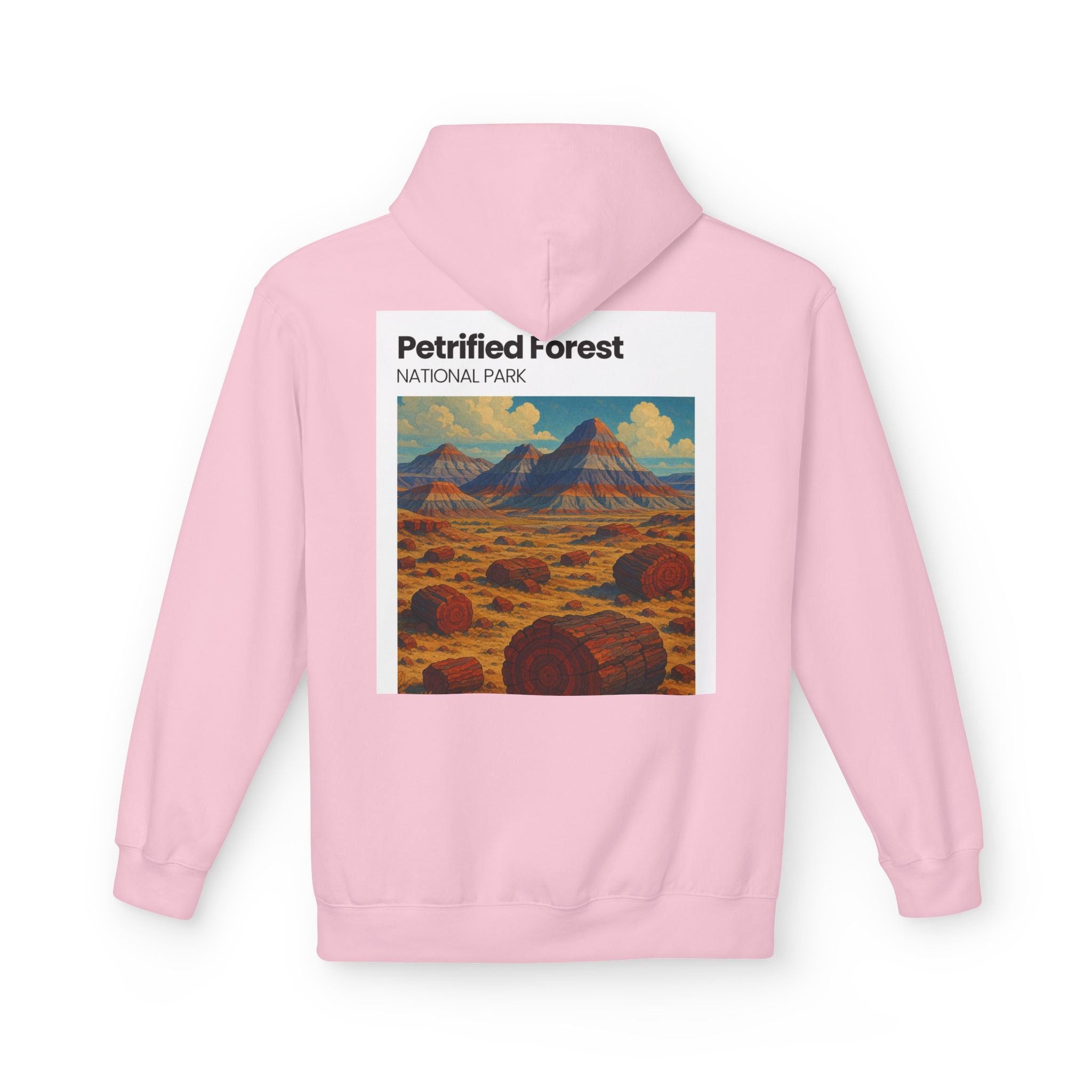 Petrified Forest National Park Hoodie | Vintage Desert Landscape
